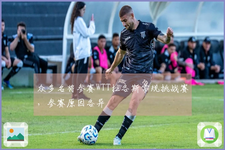 众多名将参赛WTT拉各斯常规挑战赛，参赛原因各异