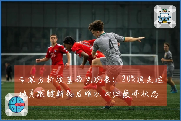 专家分析埃基蒂克现象：20%顶尖运动员跟腱断裂后难以回归巅峰状态